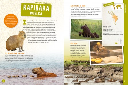 zwierzęta świata elibri 1